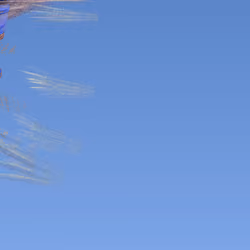 FractalAirdropX04Y03