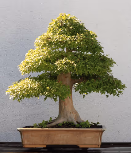 Item #104496985584808197411299000803927756186977529206466580863662692626264909414401 Media