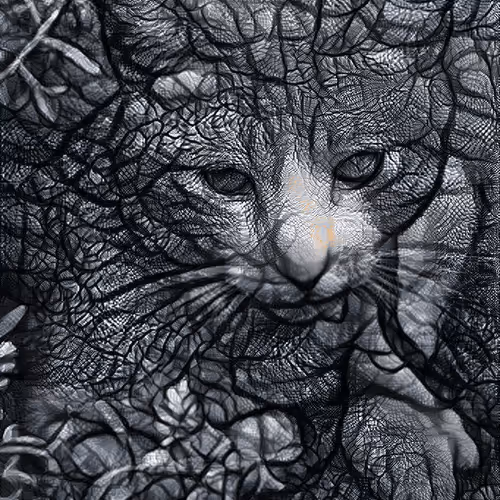 Transcending time - The Lonely Cat 38°
