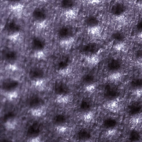 42105245716073234127585112850128696910602952616817341036274037535684876566529