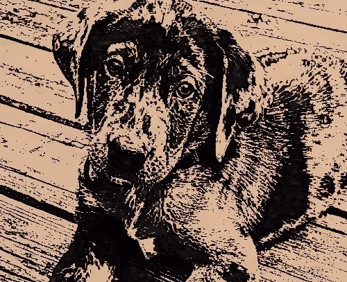 Item #23143313246472061328071561115701105421589606567298838424350448115952220372993 Media