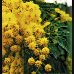 3787080761074609709675817509753112159059746763483256848434353639160268455937