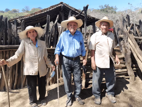 Item #32237202173720727343948986965561335091197107318394763909165930937426445860865 Media