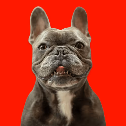 99031261785432219130552668818269695456905868997165113515571762271972231217153