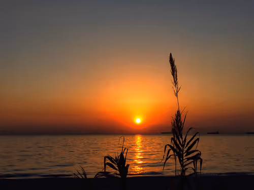 Item #66820219221198918858103330238748166887962299943803224281381121424867974971393 Media