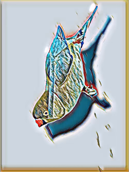 Item #104223747438996827402334393306322117808893391703647027998727742915902126948353 Media