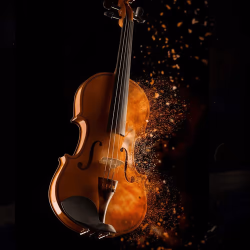 Untitled Collection #62860395