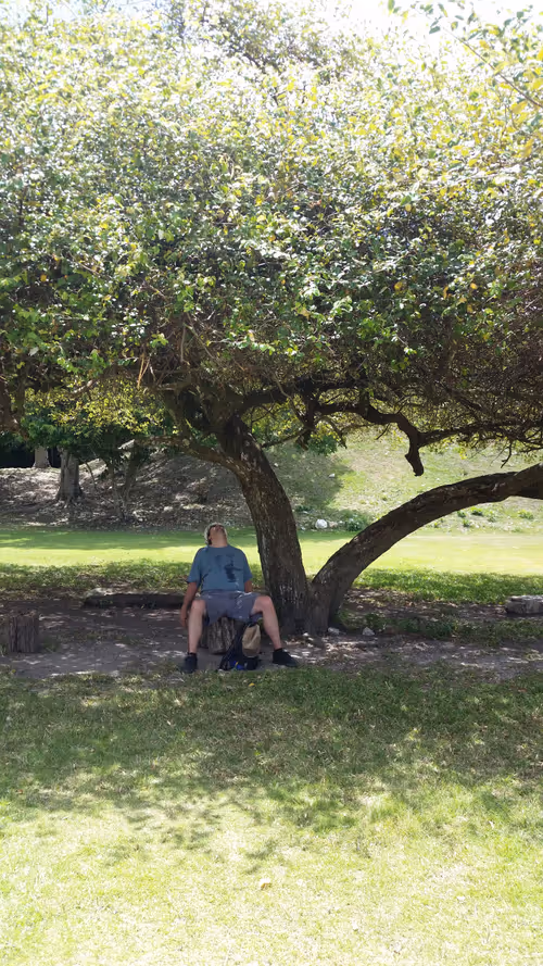 Item #107111816853042677305465976713853985523542447439533665525012776300472128503809 Media