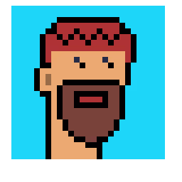 BeardPunk #2