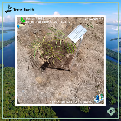 Item #8500196597889277390194123329501889087166328879864934763448349195351244144641 Media