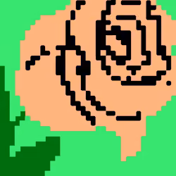  Rose