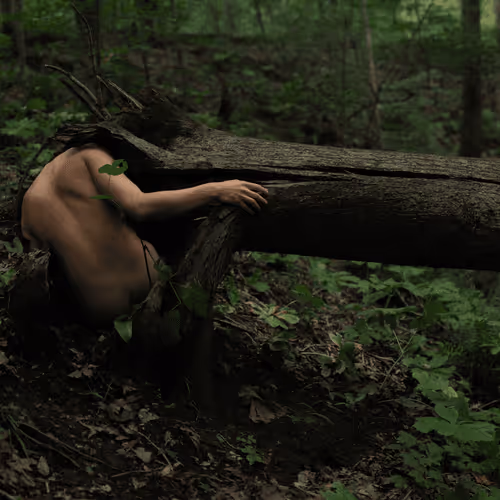 Item #78290495778488024413402900412975028234166831643233263215137554368166988087297 Media