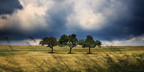 Item #113065873903366828743744079288708835697083018334279533284549130248226884026369 Media