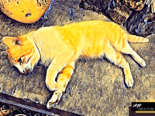 Item #70173555060280459679020221103172679865592931086946583501557978917285409062913 Media