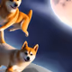 48092848155592791033737047707504176614859072702867415740379203276294307446785