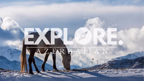 Item #55167293475857333829963200193227146355535503943447662520927477412593684971521 Media