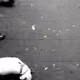 106079609846887631202978041983377568946839594207354719908059040152073223012353