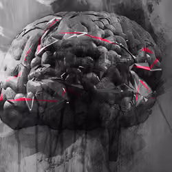 3DMinds - Brain #2