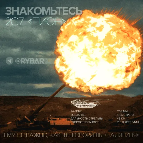 Item #42859009001016246632263995231491744008716163956391912516090367085741703430154 Media