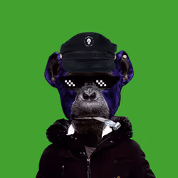 53599243288124061253868849108675731407580488356595065985204716283493921849345