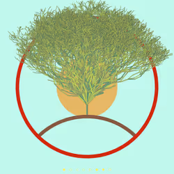 74168867016011539093366687608765447348507224284888477074887988589578736893953