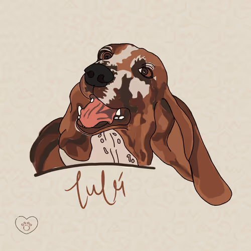 Item #51398168516399153877601583068247056013640080142583651548518393350690613231621 Media