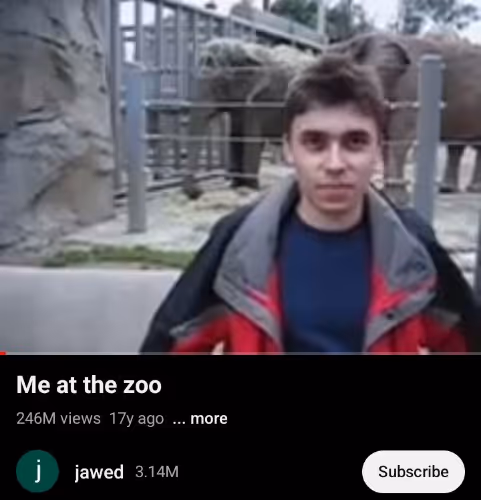 Untitled Collection #539643774