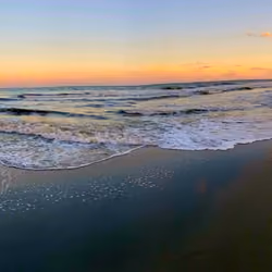 beachbum