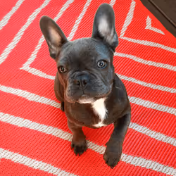 99031261785432219130552668818269695456905868997165113515571762346739021905921