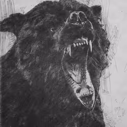 11276162529628641556553056529614973332754405277106184420845745127975777468417