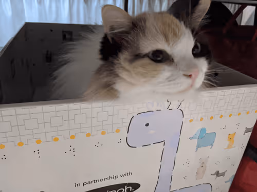 Item #103823190638075684652461829267274249161173063347509023641376403464633102368769 Media