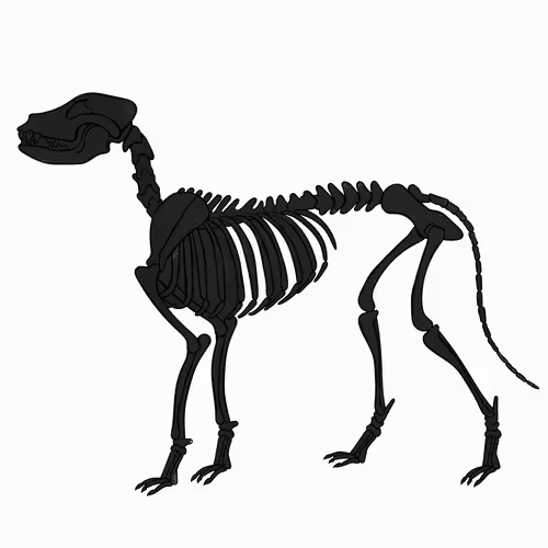 Item #66115251428437251400949335005857765940906863007353817121707627012148080672769 Media