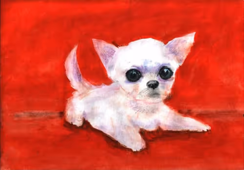 Item #53661683660994396488981893260373811515315705590489664499670501603615742895888 Media