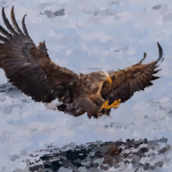 11276162529628641556553056529614973332754405277106184420845745023522172829697