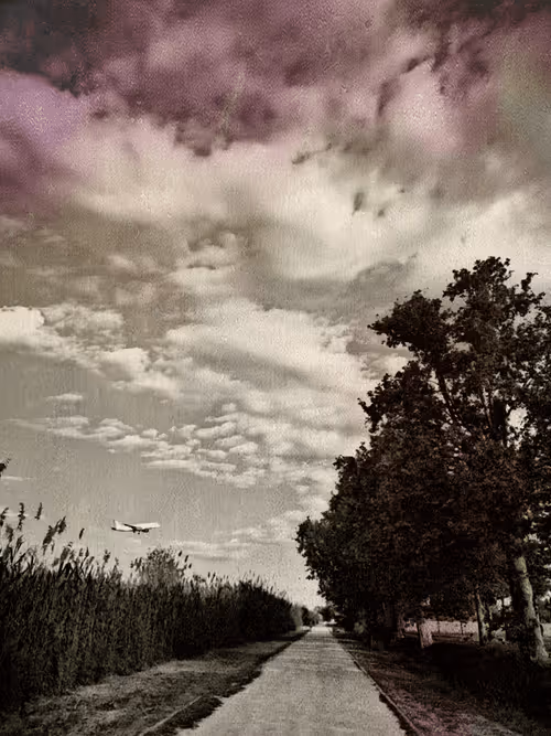 Item #36816001644917254617906175698674191035781868216999975889902342323370031316993 Media