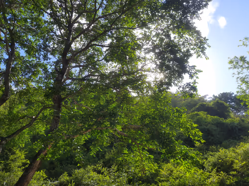 Item #86460548825896395183188707427462696963522650148758793724109723213155339862017 Media