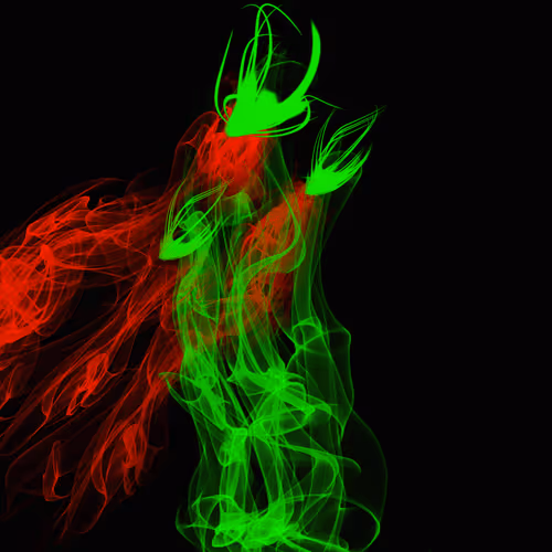 Item #65566000358404370780323819220112034083013972535169585834825609360736388120577 Media