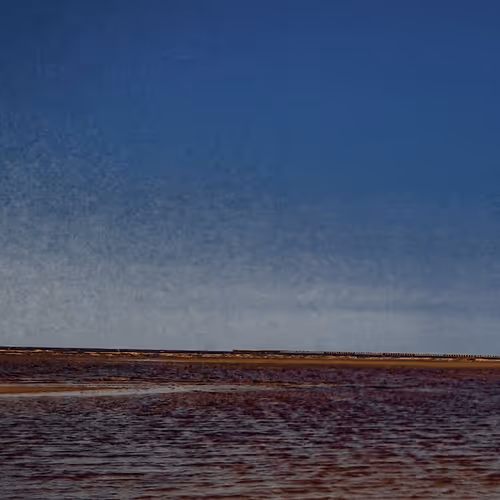 Item #71898613365774394208486532838091089742538987578281713843542554838087082442753 Media