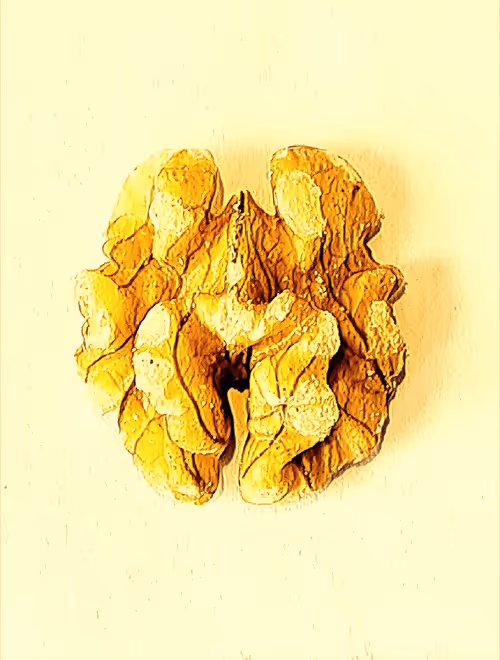 Item #23101555341256944767947780439913944949162078650248345617575226597132633899009 Media