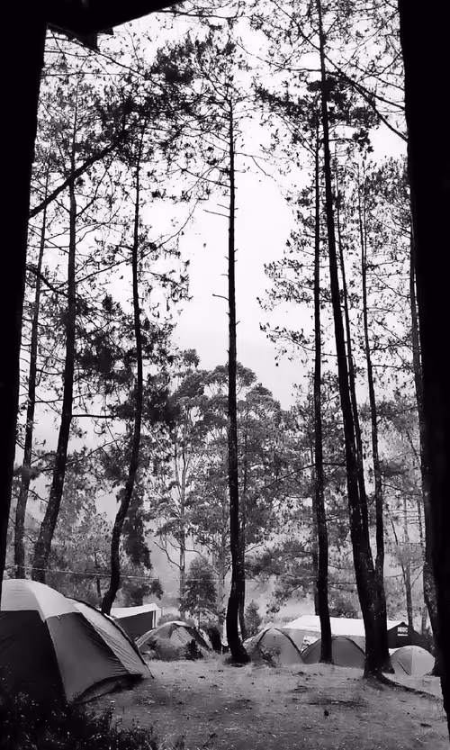 Item #31624274509119207472621893609913632294592170804295754614641563336076901220353 Media