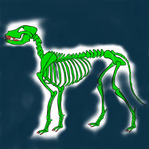 Item #66115251428437251400949335005857765940906863007353817121707627008849545789441 Media