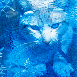 82131992402555671980798055465587884445464283702860645772928283739774538219521