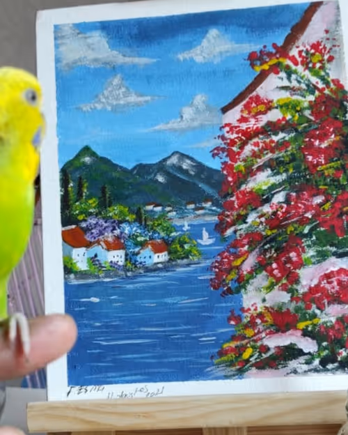 Item #115180752654628418282922260448496948300102800478165940863622945308032251199489 Media