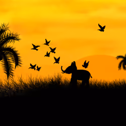 The Little Elephant