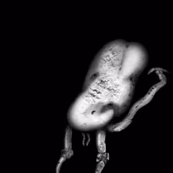 crawling