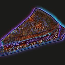 103021099077614825187577421930856695141498909813172536276445923561033105932289