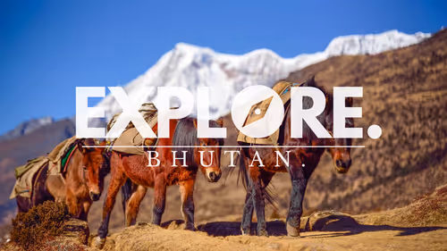 Item #55167293475857333829963200193227146355535503943447662520927477422489289621505 Media