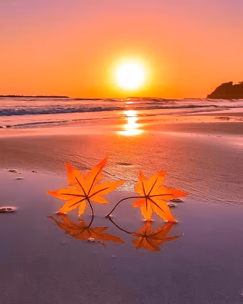 Item #83462484926125179177933876272722647181473475967863052278931111128438841278465 Media