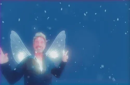 Item #51792000692652649706991026145015157507097883569816070395065263776413868097636 Media