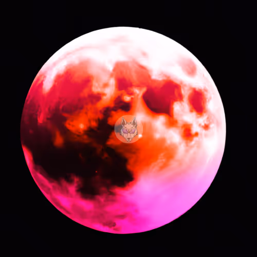 Item #106354215354227112710139797925814598999767026275886643497634913099538061328385 Media